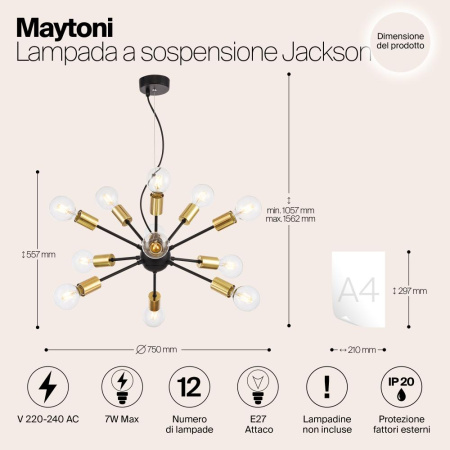 Подвесной светильник Maytoni T546PL-12B