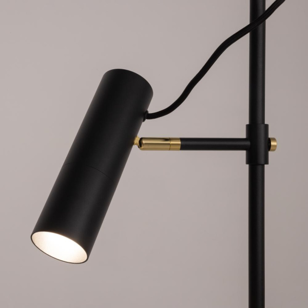 Напольный светильник (торшер) Maytoni MOD129FL-01B