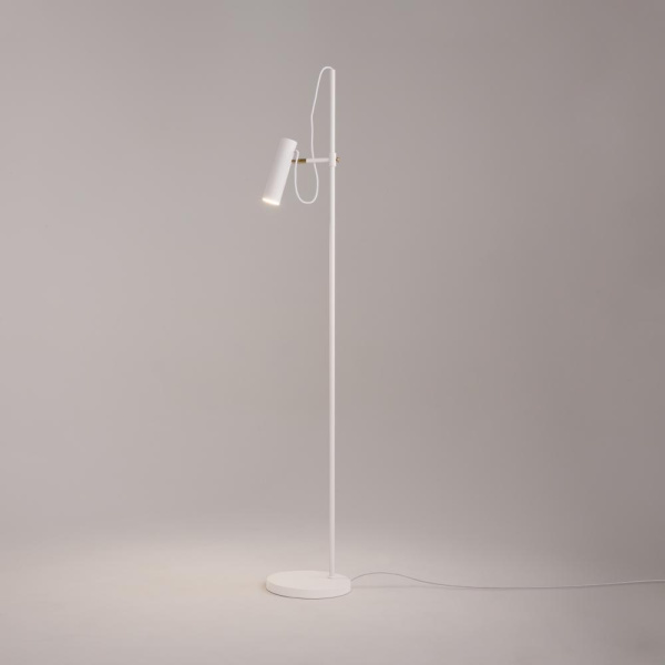 Напольный светильник (торшер) Maytoni MOD129FL-01W