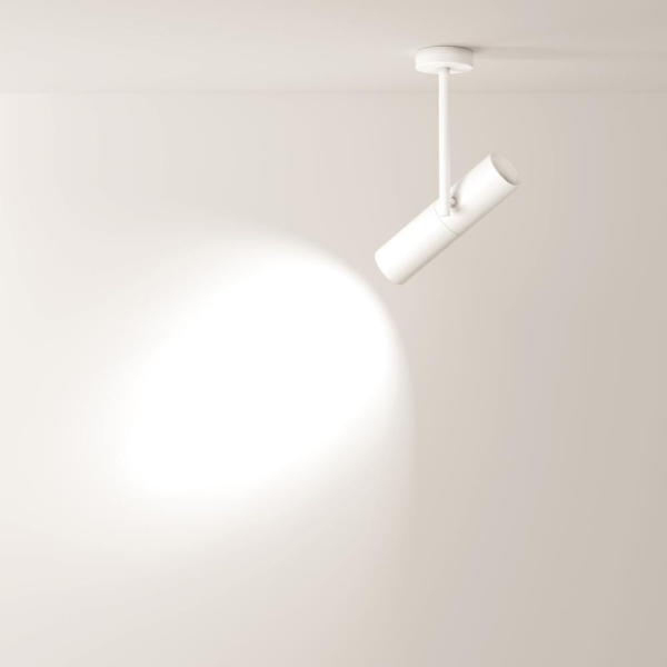 Потолочный светильник Technical C020CL-01W