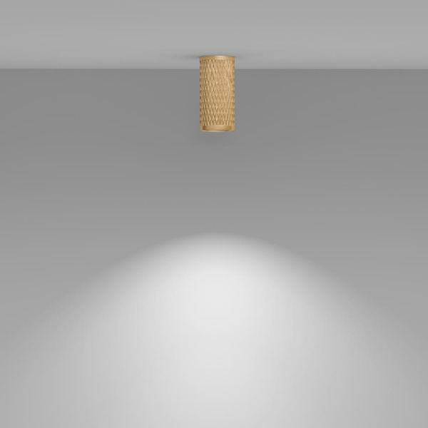 Потолочный светильник Technical C036CL-01G