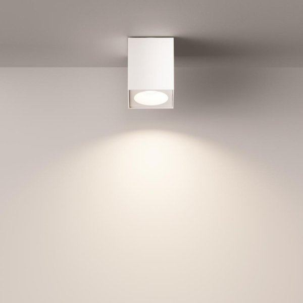 Потолочный светильник Technical C030CL-01W