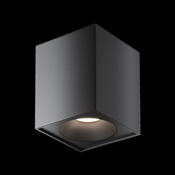 Потолочный светильник Technical C030CL-01B