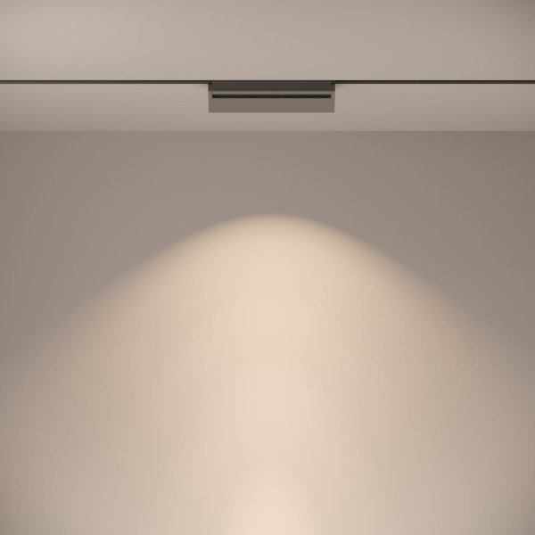 Трековый светильник Technical TR013-2-20W4K-B