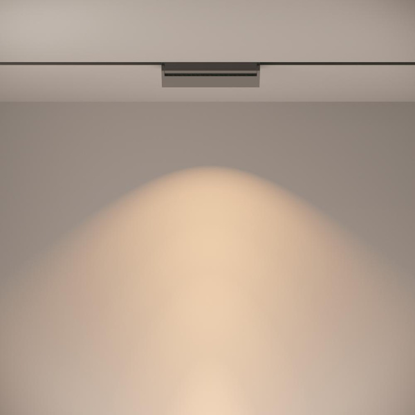 Трековый светильник Technical TR013-2-20W3K-B