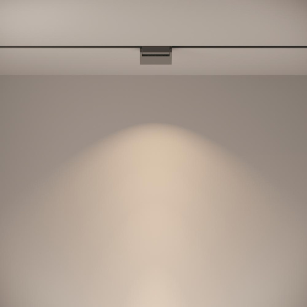 Трековый светильник Technical TR013-2-10W4K-B