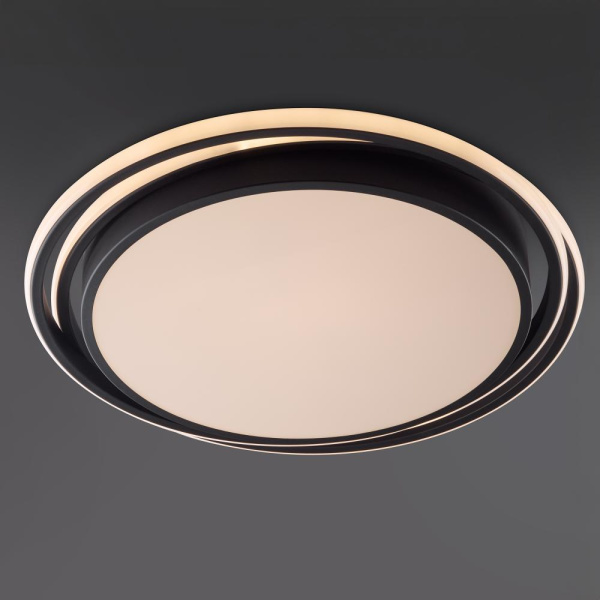 Потолочный светильник Freya FR10031CL-L98B