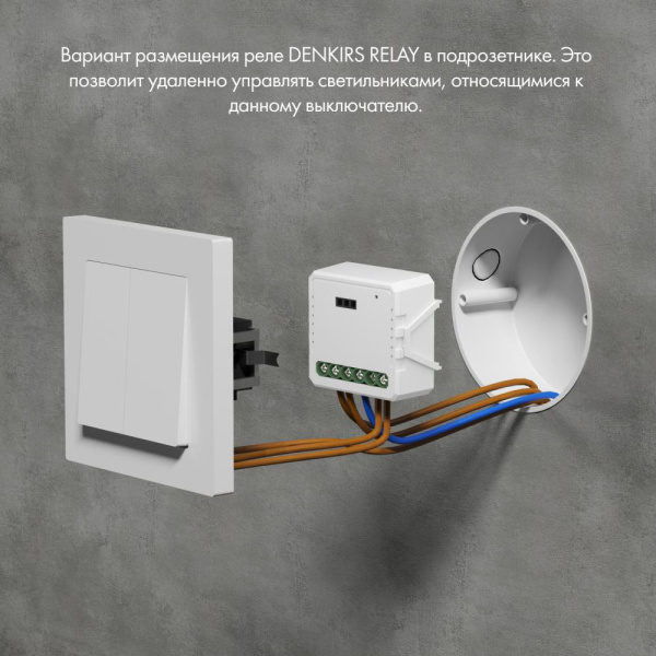 RL1004-DM Двухканальное Wi-Fi реле-диммер 2 x 150 Вт