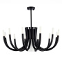 SL1173.402.13 Люстра потолочная ST-Luce Черный/Черный G4/E27 12+1*5+60W PAFE