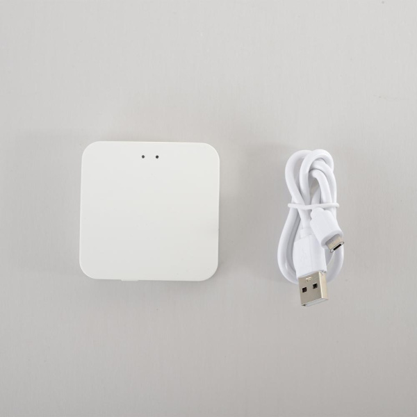 Модуль управления Space Smart Home Crystal Lux CLT 0.203 12