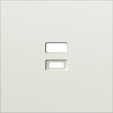 Накладка для розеток USB, шампань, серия S08