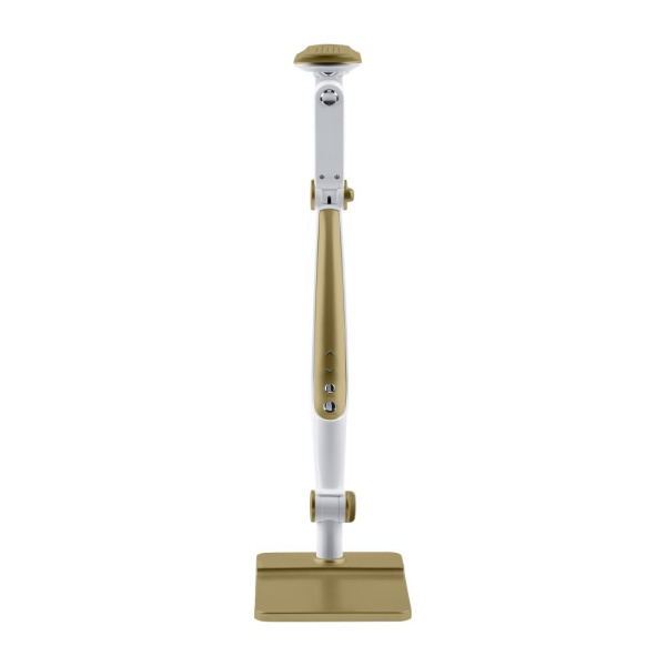 Настольный светильник ЭРА NLED-497-12W-G светодиодный на струбцине и с основанием золото