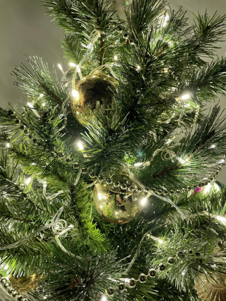 ENIN-10B ЭРА Гирлянда LED Нить 10 м теплый свет 8 режимов, 220V, IP20 (60/720)