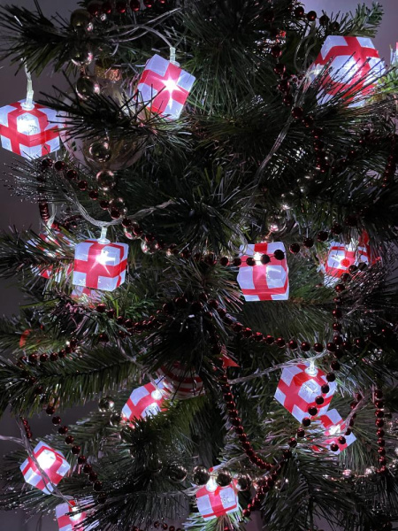 ENIN-3P ЭРА Гирлянда LED Нить Подарки 3 м холодный свет, 220V, IP20 (24/192)