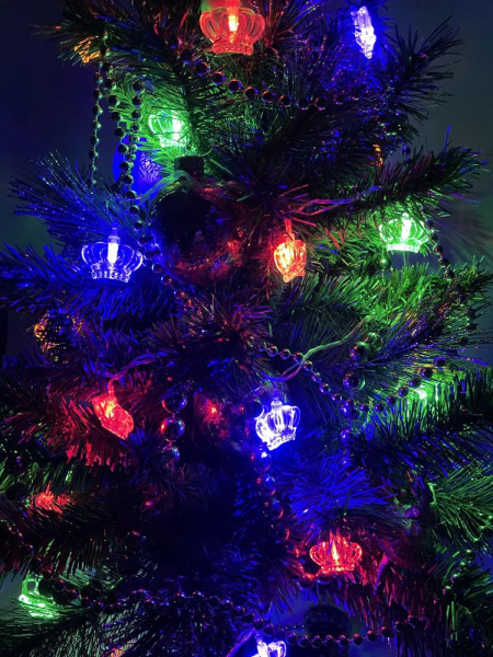 ENIN-3K ЭРА Гирлянда LED Нить Короны 3 м мультиколор, 220V, IP20 (36/864)