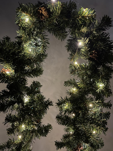 ENIN -5NW ЭРА Гирлянда LED Нить 5 м теплый свет, АА (100/2500)