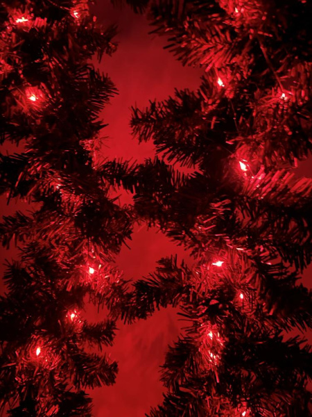 ENIN -5NR ЭРА Гирлянда LED Нить 5 м красный свет, АА (100/2500)