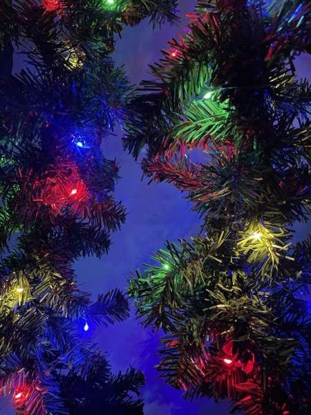 ENIN -10NM ЭРА Гирлянда LED Нить 10 м мультиколор 220V (100/1800)