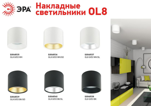 OL8 GX53 WH/SL Подсветка ЭРА Накладной под лампу Gx53, алюминий, цвет белый+серебро (40/800)