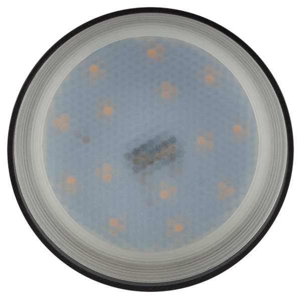 OL9 GX53 BK/WH Подсветка ЭРА Накладной под лампу Gx53, алюминий, цвет черный+белый (40/800)