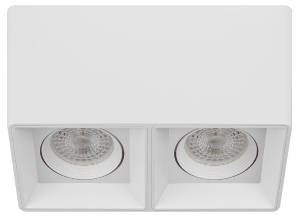 Светильник настенно-потолочный спот ЭРА OL24-2 WH MR16/GU5.3, белый, поворотный