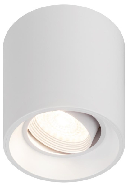 Светильник настенно-потолочный спот ЭРА OL25-1 WH MR16/GU5.3, белый, поворотный