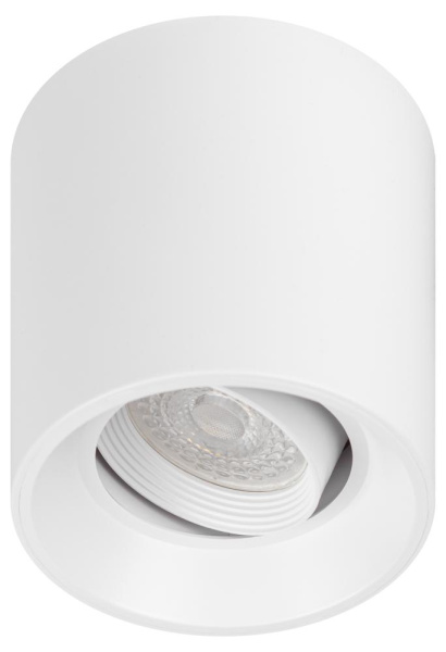 Светильник настенно-потолочный спот ЭРА OL25-1 WH MR16/GU5.3, белый, поворотный