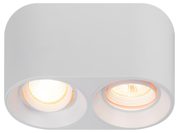 Светильник настенно-потолочный спот ЭРА OL25-2 WH MR16/GU5.3, белый, поворотный