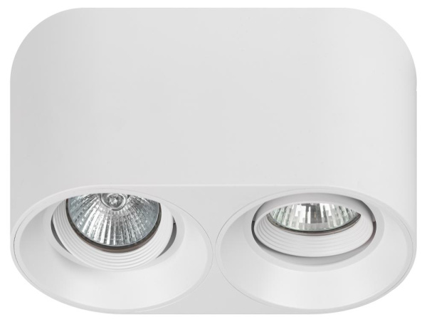 Светильник настенно-потолочный спот ЭРА OL25-2 WH MR16/GU5.3, белый, поворотный