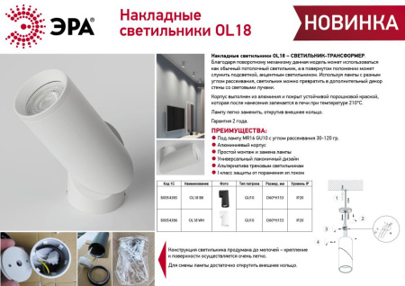 Светильник настенно-потолочный спот ЭРА OL18 BK MR16/GU10, черный