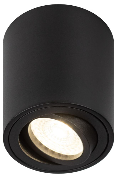 Светильник настенно-потолочный спот ЭРА OL21 BK MR16/GU10, черный, поворотный
