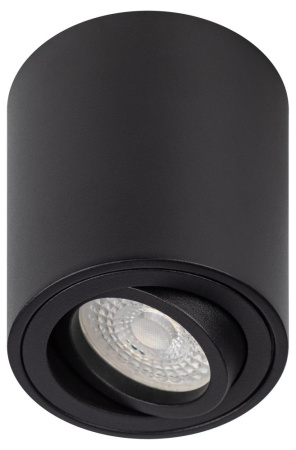 Светильник настенно-потолочный спот ЭРА OL21 BK MR16/GU10, черный, поворотный