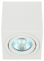 Светильник настенно-потолочный спот ЭРА OL22 WH MR16/GU10, белый, поворотный