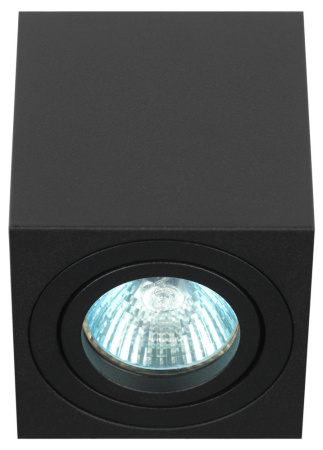 Светильник настенно-потолочный спот ЭРА OL22 BK MR16/GU10, черный, поворотный