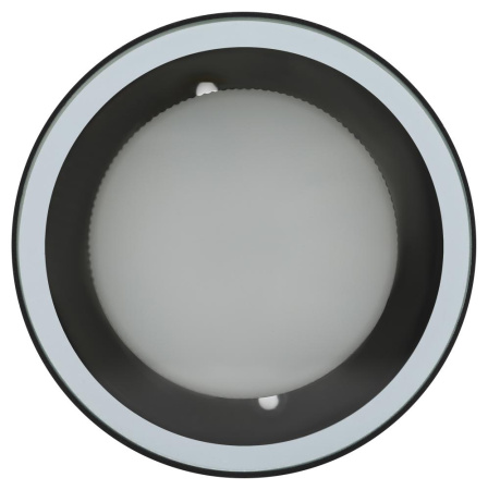 Светильник настенно-потолочный спот ЭРА WL40 BK GX53, черный, IP54