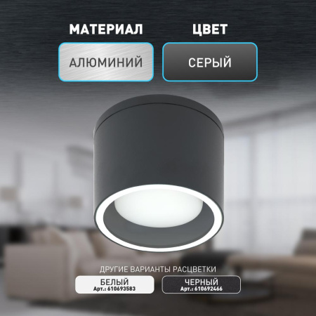 Светильник настенно-потолочный спот ЭРА WL40 GR GX53, серый, IP54