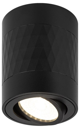 Светильник настенно-потолочный спот ЭРА OL33 BK MR16 GU10 IP20 черный