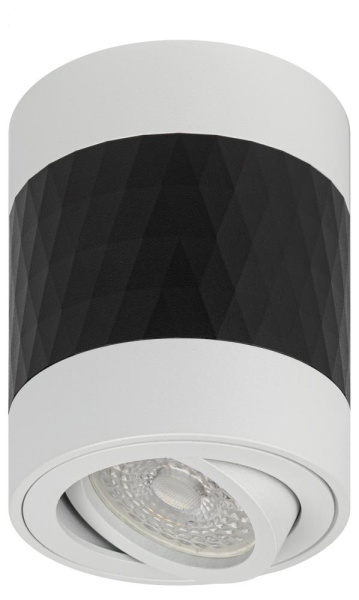 Светильник настенно-потолочный спот ЭРА OL33 WH/BK MR16 GU10 IP20 черный, белый