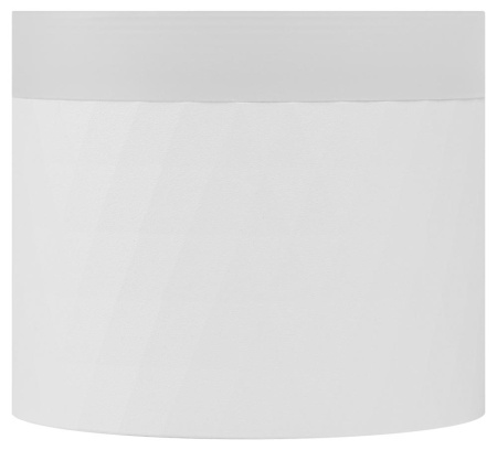 Светильник настенно-потолочный спот ЭРА OL37 WH под GX53 IP20 белый