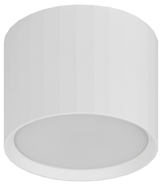 Светильник настенно-потолочный спот ЭРА OL39 WH под GX53 IP20 белый