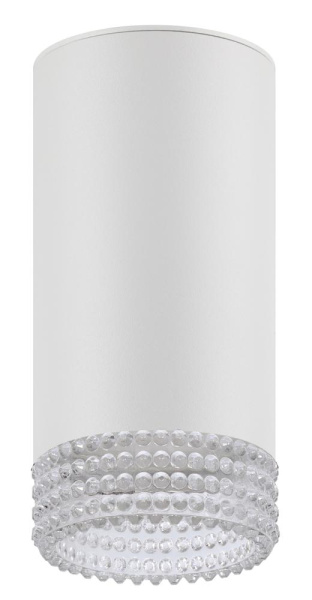 Светильник настенно-потолочный спот ЭРА OL40 WH/CL MR16 GU10 IP20 белый, прозрачный