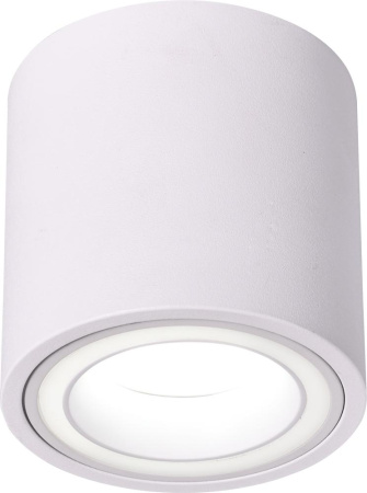 Светильник настенно-потолочный спот ЭРА OL47 WH MR16 GU10 IP20 белый