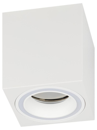 Светильник настенно-потолочный спот ЭРА OL46 WH MR16 GU10 IP20 белый