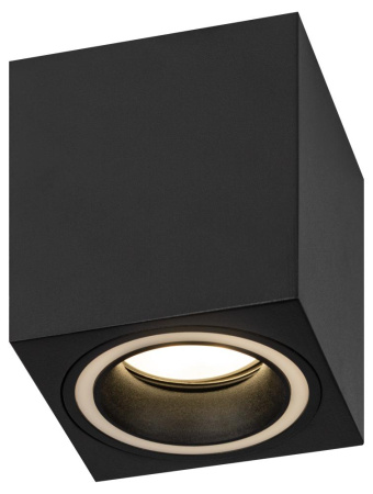 Светильник настенно-потолочный спот ЭРА OL46 BK MR16 GU10 IP20 черный