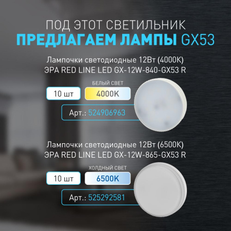 Светильник настенно-потолочный спот ЭРА OL51 WH GX53 IP20 белый