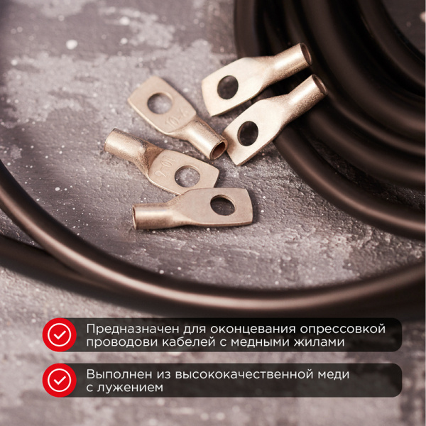 Наконечник медный луженый ТМЛ-Р 10–6 (10мм² - Ø6мм) (в упак. 100 шт.) REXANT