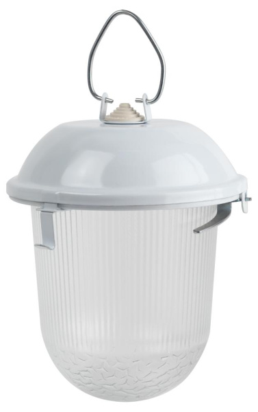 Светильник ЭРА НСП 02-100-001 без решетки Желудь сталь / стекло IP54 E27 max 100Вт 260х170 белый