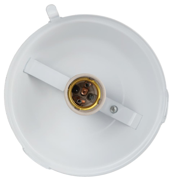 Светильник ЭРА НСП 02-100-001 без решетки Желудь сталь / стекло IP54 E27 max 100Вт 260х170 белый