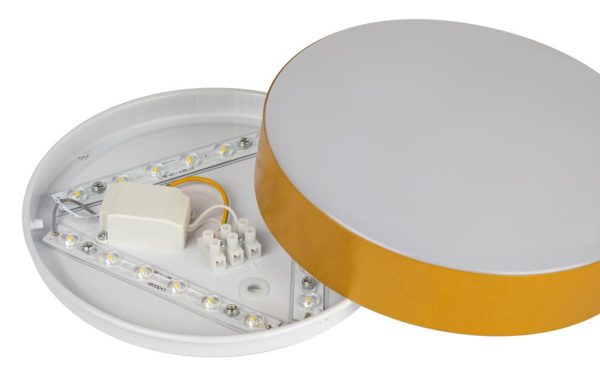 Светильник потолочный светодиодный ЭРА Relict 22 SPB-6-20 4К MG 20W 4000K Золото