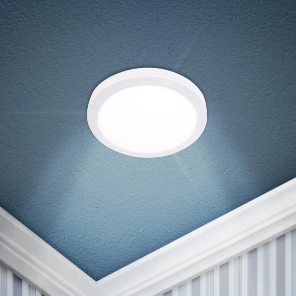 Светильник светодиодный ЭРА LED 8-12-4K круглый накладной LED 12W 220V 4000K, белый (30/630)